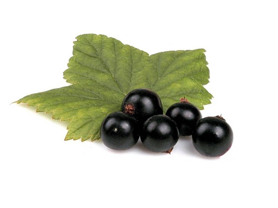 Črni ribez            177 mg  Peteršilj               166 mg  Paprika                139 mg  Brstični ohrovt      114 mg  Brokoli                  97 mg  Cvetača                73 mg  Kivi                       71 mg  Jagode                  64 mg  Limone                  53 mg  Špinača                 52 mg  Pomaranče            50mg  Zelje                     46 mg  Česen                   31 mg  Paradižnik             14 mg  Krompir                 11 mg  Korenje                 10 mg